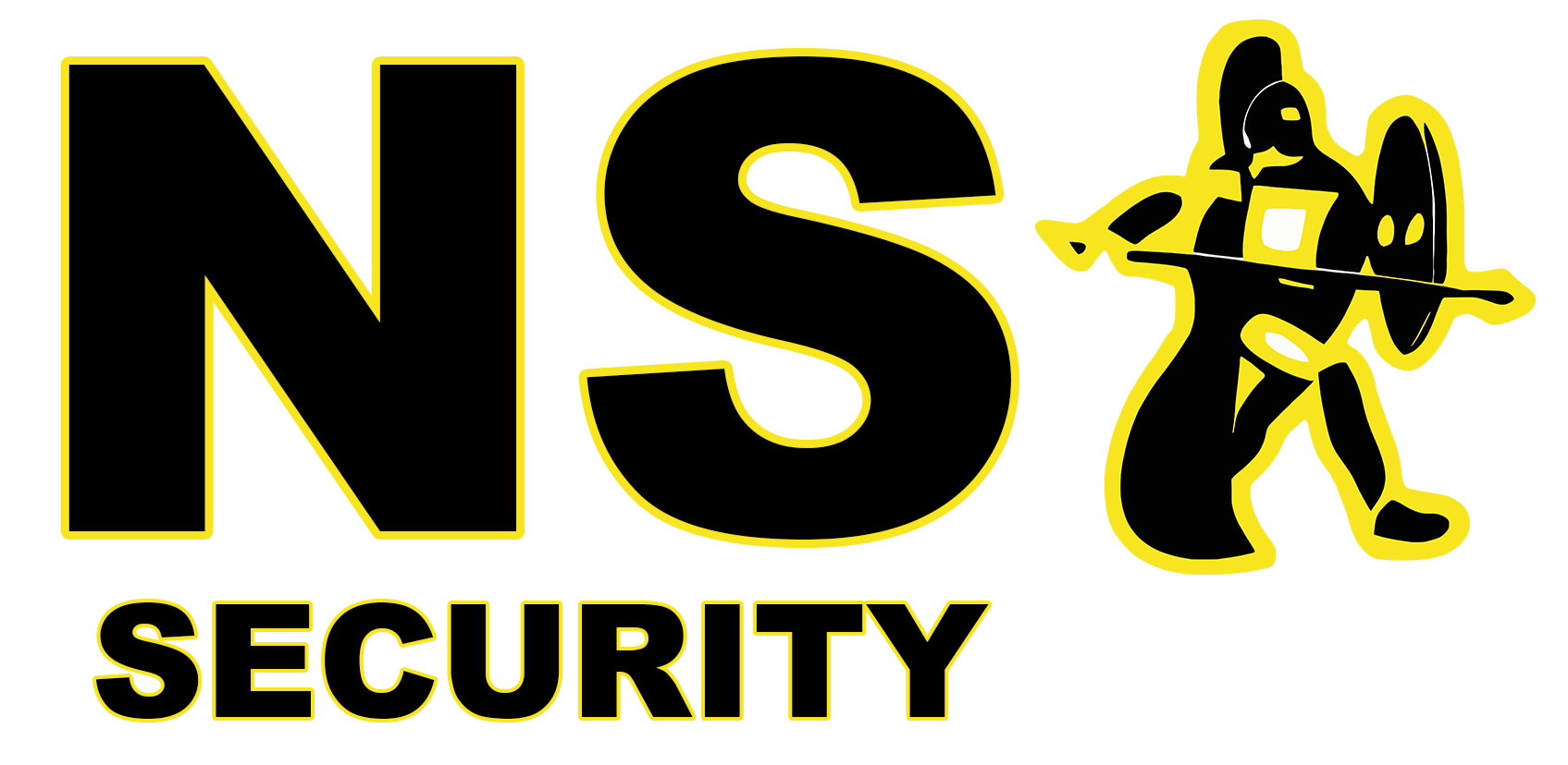 NS Security logo